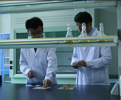 hIۺ Уxܡ]ְl(f)cCtˎWaWЅfͬ